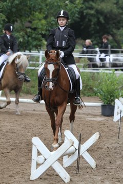 Bild 964 - WBO-Turnier am 18.9.11